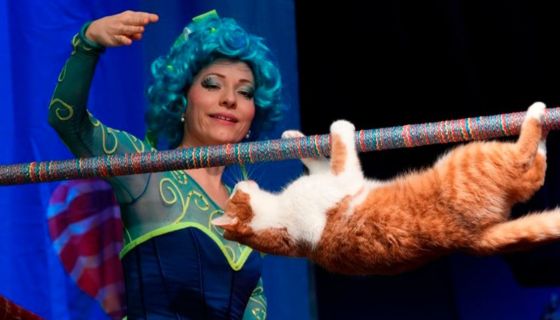 Театр кошек Куклачёва. Коты спасают мир