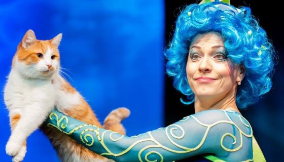 Театр кошек Куклачёва. Коты спасают мир