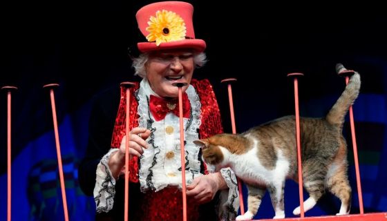 Театр кошек Куклачёва. Коты спасают мир