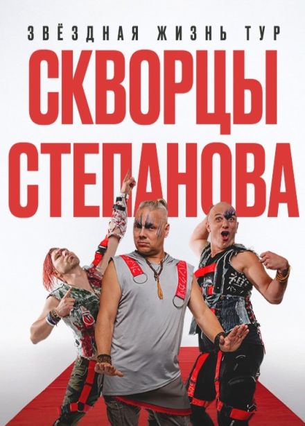 Скворцы Степанова