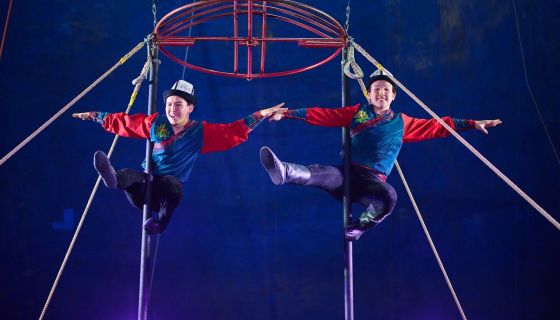 Цирк-шапито «Империя мастеров»