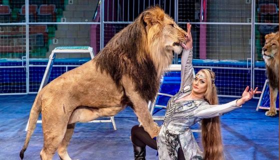 Цирк-шапито «Империя мастеров»